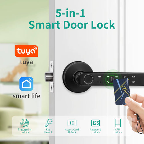 5 in 1 smart lock